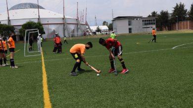 Hockey sobre Pasto