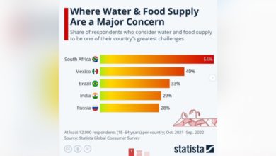 seguridad alimentaria