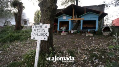 hogar-patitas-empedrado