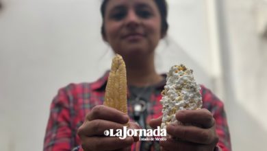 palomitas-de-maiz-en-toluca