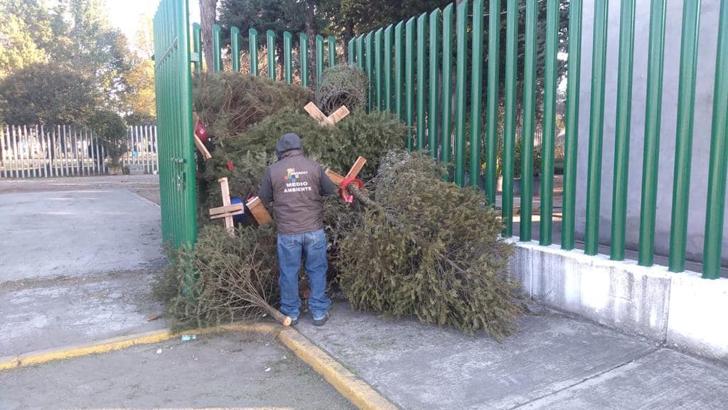 centros-de-acopio-de-arboles-de-navidad