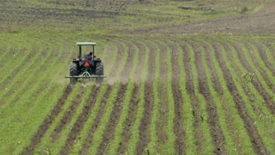 productores-de-campo-en-edomex