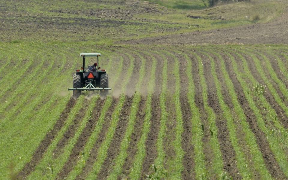 productores-de-campo-en-edomex