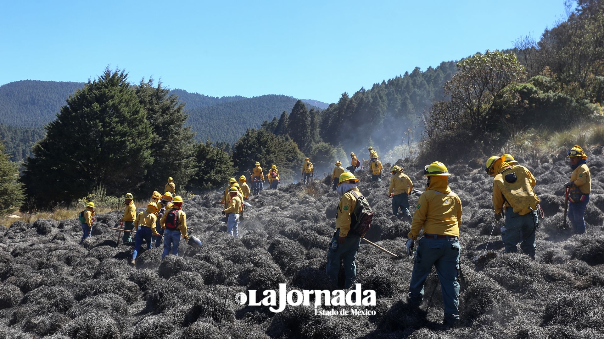 edomex-reporta-en-promedio-12-incendios-forestales-al-dia-jornadaestadodemexico