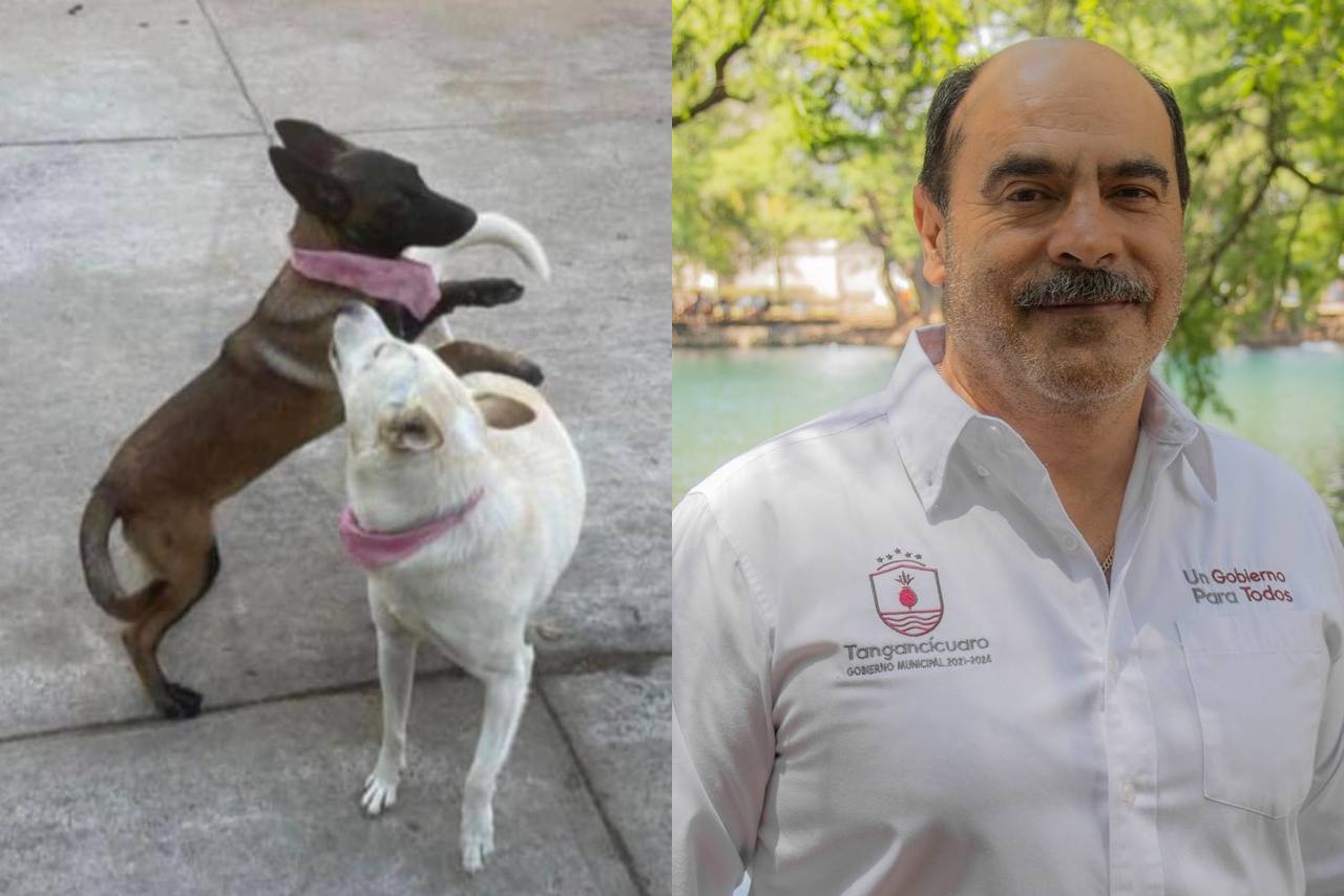 Foto de Buba y Canela, las perritas que habrían sido asesinadas por el alcalde de Tangancícuaro.