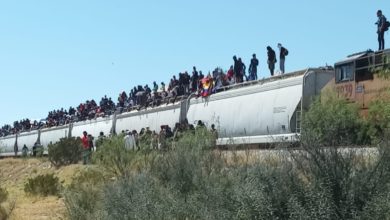 La empresa que dirige Germán Larrea , informó que tiene detenidos temporalmente y hasta el momento 60 trenes, equivalentes a la capacidad de mil 800 camiones, en rutas hacia el norte del país. Foto: Cortesía