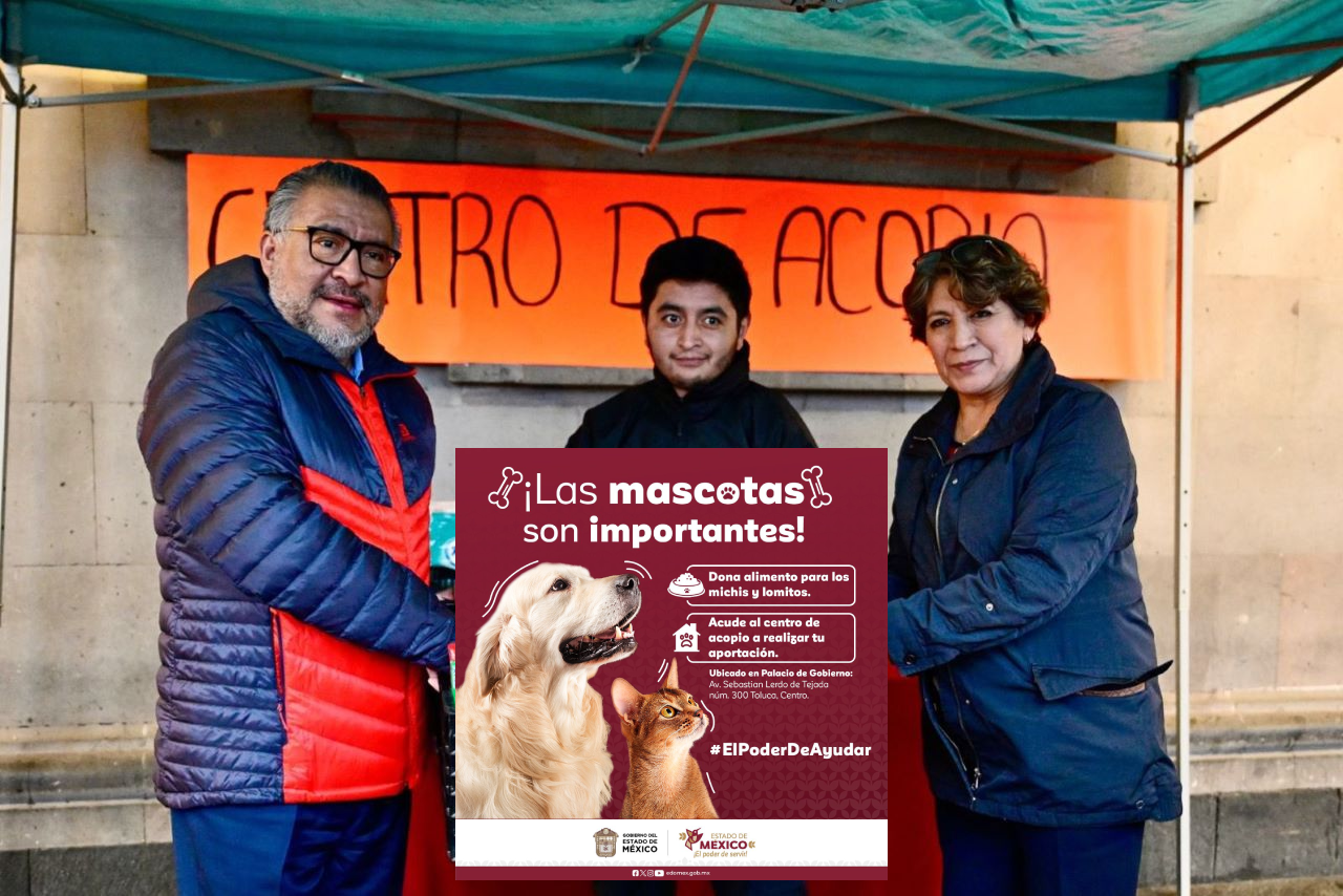 Foto de un centro de acopio del Estado de México, que se habilitó para las mascotas de Guerrero.