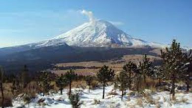 La Secretaría del Medio Ambiente y Recursos Naturales (Semarnat) y la Comisión Nacional de Áreas Naturales Protegidas (Conanp) determinaron cerrar el ingreso del parque hasta nuevo aviso. Foto: Especial