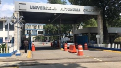 La Universidad Autónoma de Chapingo (UACh) lanzó su convocatoria para que el próximo 1 de febrero participen en el Concurso de Selección 2024 de Preparatoria Agrícola y el Propedéutico de la licenciatura. Foto: La Jornada