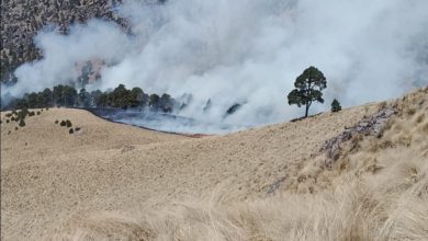 Según información oficial, el incendio fue causado por una fogata que tres personas no pudieron sofocar. Foto: Captura