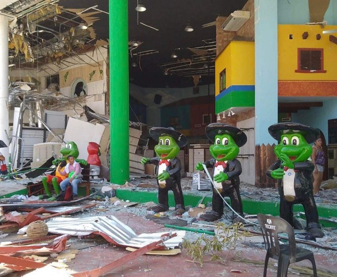 Las figuras de los batracios vestidos de mariachis habían soportado el paso del huracán que devastó el Puerto Guerrerense, sin embargo, desaparecieron días después del paso del meteoro. Foto: Captura