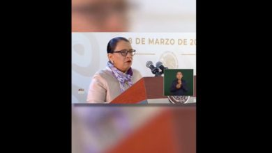 Durante la conferencia de las mañas, hoy en Michoacán, intervinieron todas las integrantes del gabinete para destacar los logros de las políticas en cada uno de los sectores. Foto: Captura