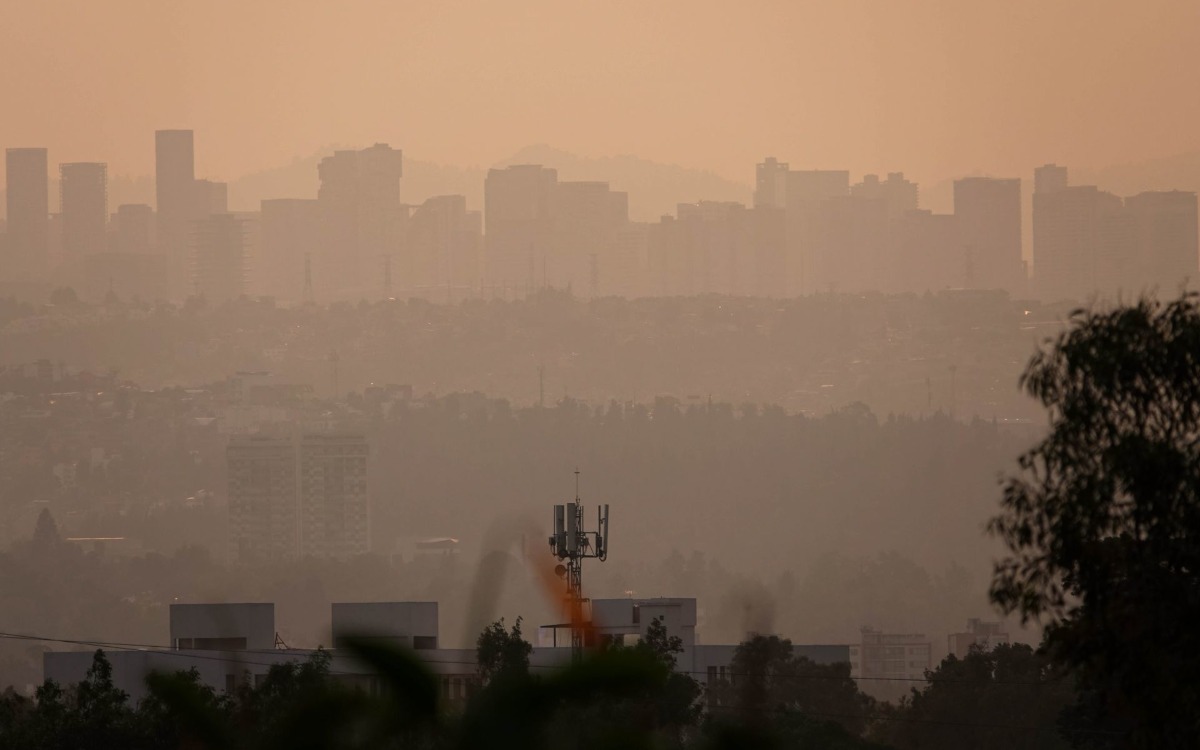 Mañana viernes 10 de mayo, deberán suspender su circulación, en horario de las 5:00 a las 22:00 horas. Foto: La Jornada