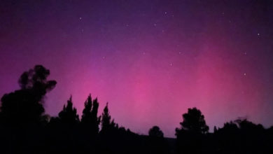 ¡ESPECTACULAR! Auroras boreales iluminaron el cielo de varios estados en México tras la tormenta solar. Foto: Redes Sociales