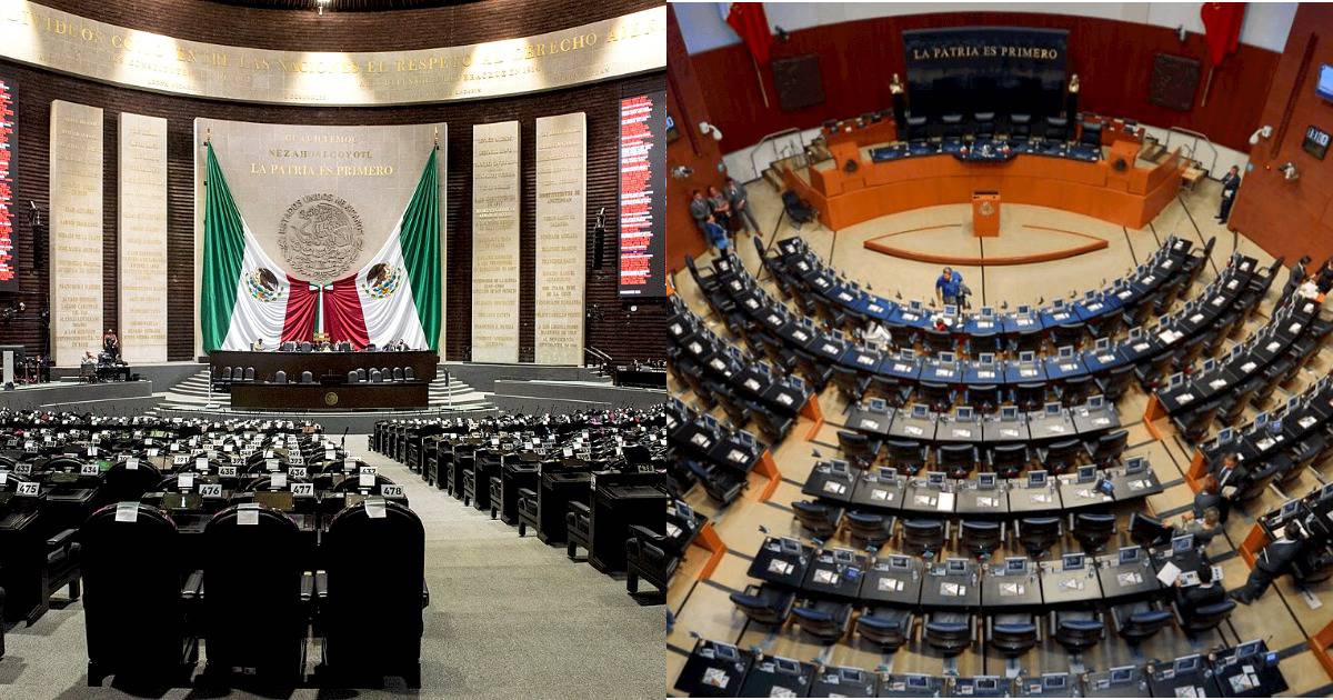 Morena y sus aliados logran mayoría en el Cámara de Diputados y Senado