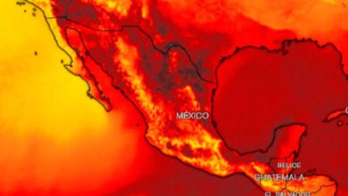 ¡Ya se acerca la cuarta ola de calor a México!