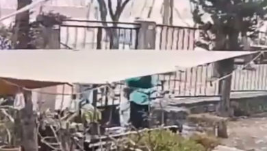 [VIDEO] Menor es arrebatada de las manos de fue abuela cuando estaban en la entrada de su casa. Foto: Captura de Pantalla