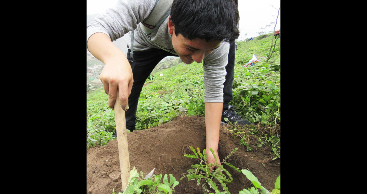 Llaman a sembrar árboles en calles del Edomex para mitigar el cambio climático