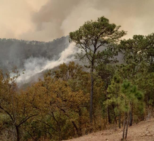 Temascaltepec: Brigadas combaten dos incendios forestales simultáneos