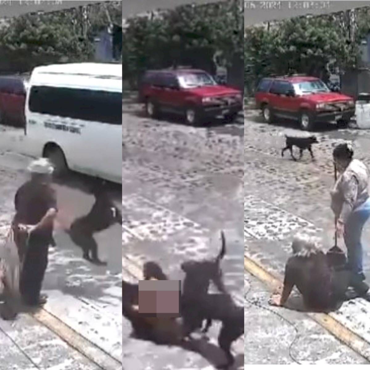 VIDEO: Jauría de perros tira y muerde a mujer de la tercera edad