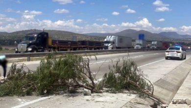 Los ejidatarios usaron ramas, piedras y palos para bloquear el Arco Norte.