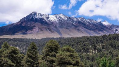 Gobierno del Edomex invita a la Feria Ambiental; habrá trueque de ropa