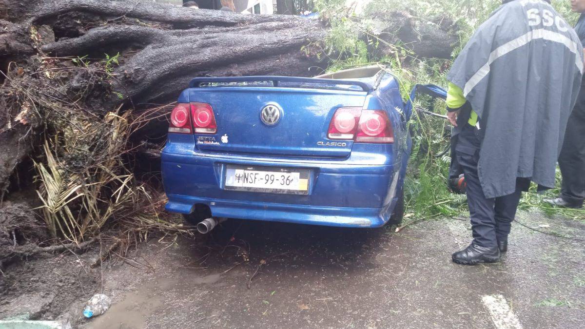 [VIDEO] Rescatan a bebé que quedó atrapado tras caída de árbol por lluvia en CDMX; mamá muere