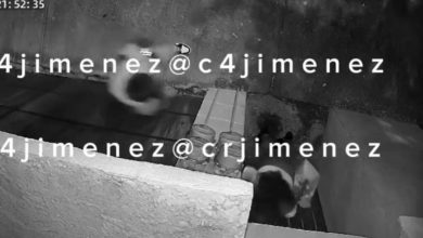 El video que subió a la red social X el periodista C4Jiménez se puede observar a una mujer que intenta abrir la puerta de lo que podría ser su vivienda ubicada en el municipio de Neza en el Estado de México. Foto: Captura