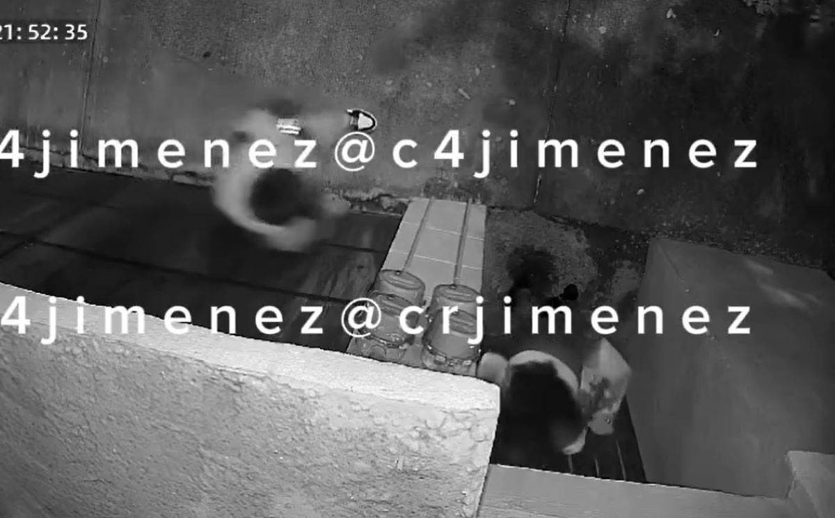 El video que subió a la red social X el periodista C4Jiménez se puede observar a una mujer que intenta abrir la puerta de lo que podría ser su vivienda ubicada en el municipio de Neza en el Estado de México. Foto: Captura