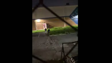 En un video, que ya está circulando por la red social X, se logra ver cómo los asaltantes salen por la puerta trasera de la tienda para darse a la fuga. Foto: Captura