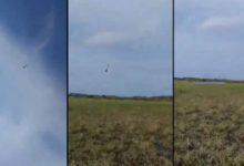 VIDEO: Cadete de la Semar muere al no abrir su paracaídas durante prácticas militares
