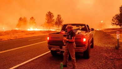 Bomberos combaten un incendio forestal en California Foto. AFP