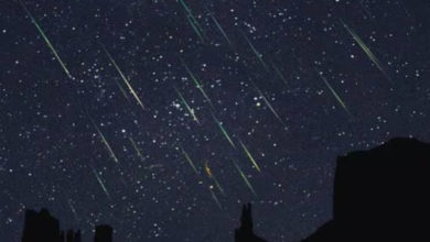 ¿Dónde y cuándo ver la lluvia de estrellas Perseidas 2024 en México?