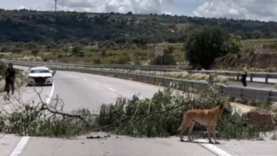 Arco Norte: Se cumplen tres días de bloqueo; ejidatarios rompen diálogo