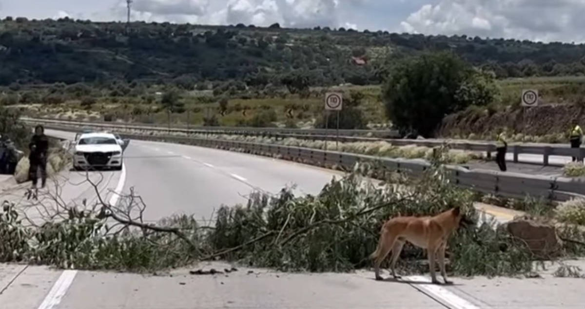 Arco Norte: Se cumplen tres días de bloqueo; ejidatarios rompen diálogo