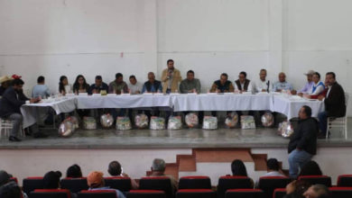 Crean consejo de productores de amaranto en Edomex