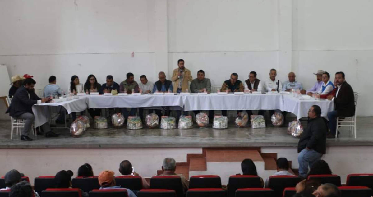 Crean consejo de productores de amaranto en Edomex