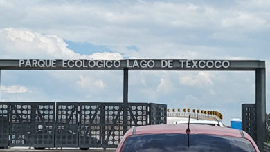 Proyecto Tren ligero al Parque Ecológico Lago de Texcoco: Esto es lo que sabemos