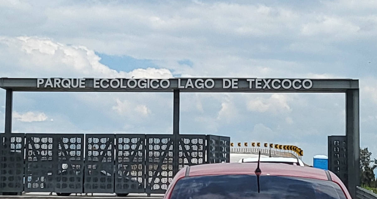 Proyecto Tren ligero al Parque Ecológico Lago de Texcoco: Esto es lo que sabemos