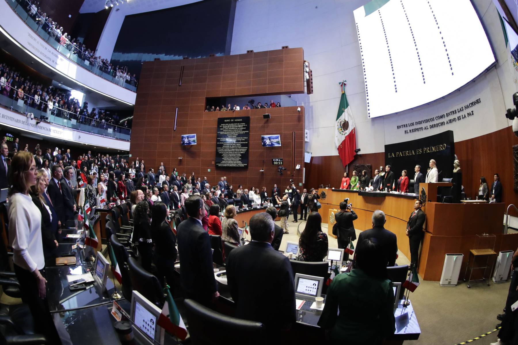 Morena tendrá mayoría en comisiones del Senado; filtran lista de quienes las presidirán