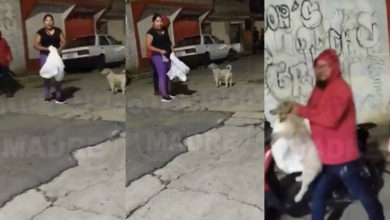 Vecina capta en VIDEO cuando pareja se roba al perrito ‘Suadero’ en Ixtapaluca