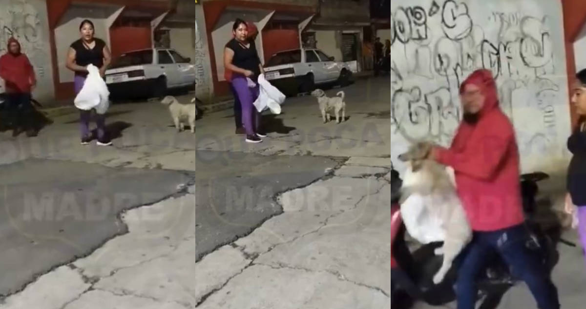 Vecina capta en VIDEO cuando pareja se roba al perrito ‘Suadero’ en Ixtapaluca