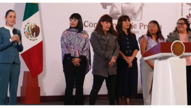 El gobierno presentó iniciativas de reformas a la Constitución y a leyes secundarias para garantizar el apoyo, protección a mujeres.