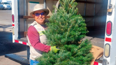 Profepa comienza inspección de árboles de Navidad para la temporada