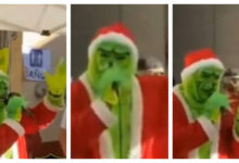 Ya es época decembrina y se hace viral Grinch cantando banda; su público lo hizo viral en redes sociales con este video.